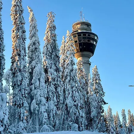 Mukava Saunallinen Kaksio Omalla Sisaeaenkaeynnillae Ja Ilmaisella Autopaikalla Lägenhet *